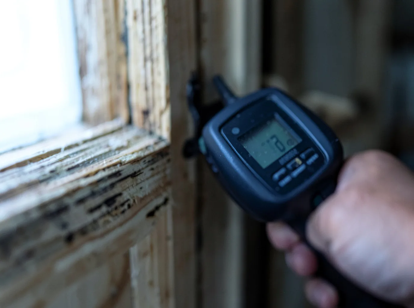 Moisture Inspection And Documentation in Leesburg, NJ